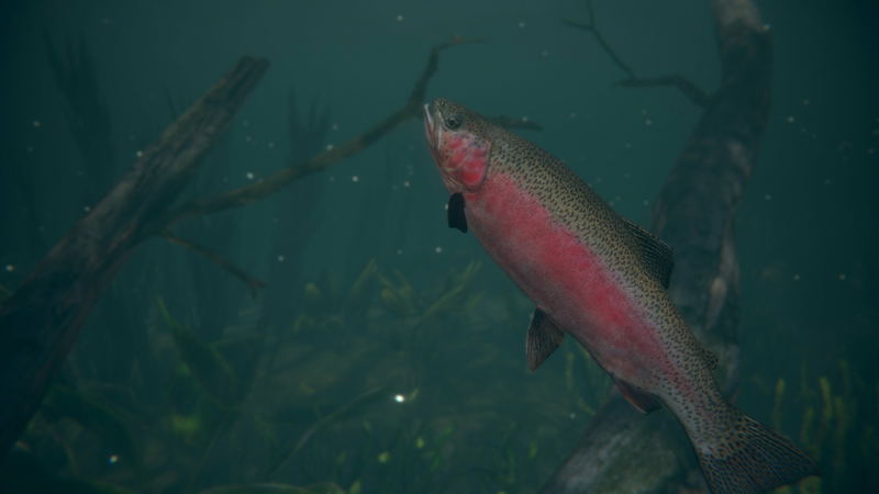 Ultimate Fishing Simulator 2 <span class="ext" style="background-color: #2a475e; color: #FFFFFF;">STEAM</span> <span class="ext ext_digital">digital</span> image 2
