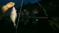 Ultimate Fishing Simulator 2 <span class="ext" style="background-color: #2a475e; color: #FFFFFF;">STEAM</span> <span class="ext ext_digital">digital</span> thumbnail 22