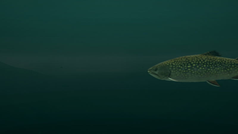 Ultimate Fishing Simulator: Taupo Lake (DLC) <span class="ext" style="background-color: #B0000F; color: #FFFFFF;">DLC</span> <span class="ext" style="background-color: #2a475e; color: #FFFFFF;">STEAM</span> <span class="ext ext_digital">digital</span> image 10