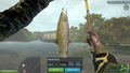 Ultimate Fishing Simulator: Taupo Lake (DLC) <span class="ext" style="background-color: #B0000F; color: #FFFFFF;">DLC</span> <span class="ext" style="background-color: #2a475e; color: #FFFFFF;">STEAM</span> <span class="ext ext_digital">digital</span> thumbnail 7