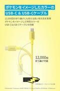 Anker USB Rapid Charger, 20 W, Pichu Model thumbnail 5