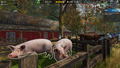 Cafe Owner Simulator: Farm (DLC) <span class="ext" style="background-color: #B0000F; color: #FFFFFF;">DLC</span> <span class="ext" style="background-color: #2a475e; color: #FFFFFF;">STEAM</span> <span class="ext ext_digital">digital</span> thumbnail 13