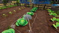 Cafe Owner Simulator: Farm (DLC) <span class="ext" style="background-color: #B0000F; color: #FFFFFF;">DLC</span> <span class="ext" style="background-color: #2a475e; color: #FFFFFF;">STEAM</span> <span class="ext ext_digital">digital</span> thumbnail 14