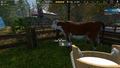 Cafe Owner Simulator: Farm (DLC) <span class="ext" style="background-color: #B0000F; color: #FFFFFF;">DLC</span> <span class="ext" style="background-color: #2a475e; color: #FFFFFF;">STEAM</span> <span class="ext ext_digital">digital</span> thumbnail 6