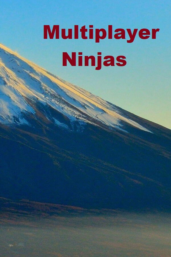 Multiplayer Ninjas <span class="ext" style="background-color: #2a475e; color: #FFFFFF;">STEAM</span> <span class="ext ext_digital">digital</span> image 1