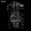 Made In Abyss: The Golden City Of The Scorching Sun - Abyss Map Ribbed Sleeve Long Sleeve T-shirt (Black | Size S) thumbnail 4