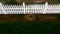 Garden Simulator <span class="ext ext_Nintendo®️ Switch Digital">Nintendo®️ Switch Digital</span> <span class="ext ext_digital">digital</span> thumbnail 7