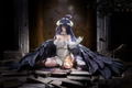 Overlord 1/7 Scale Pre-Painted Figure: Albedo [GSC Online Shop Exclusive Ver.] thumbnail 9