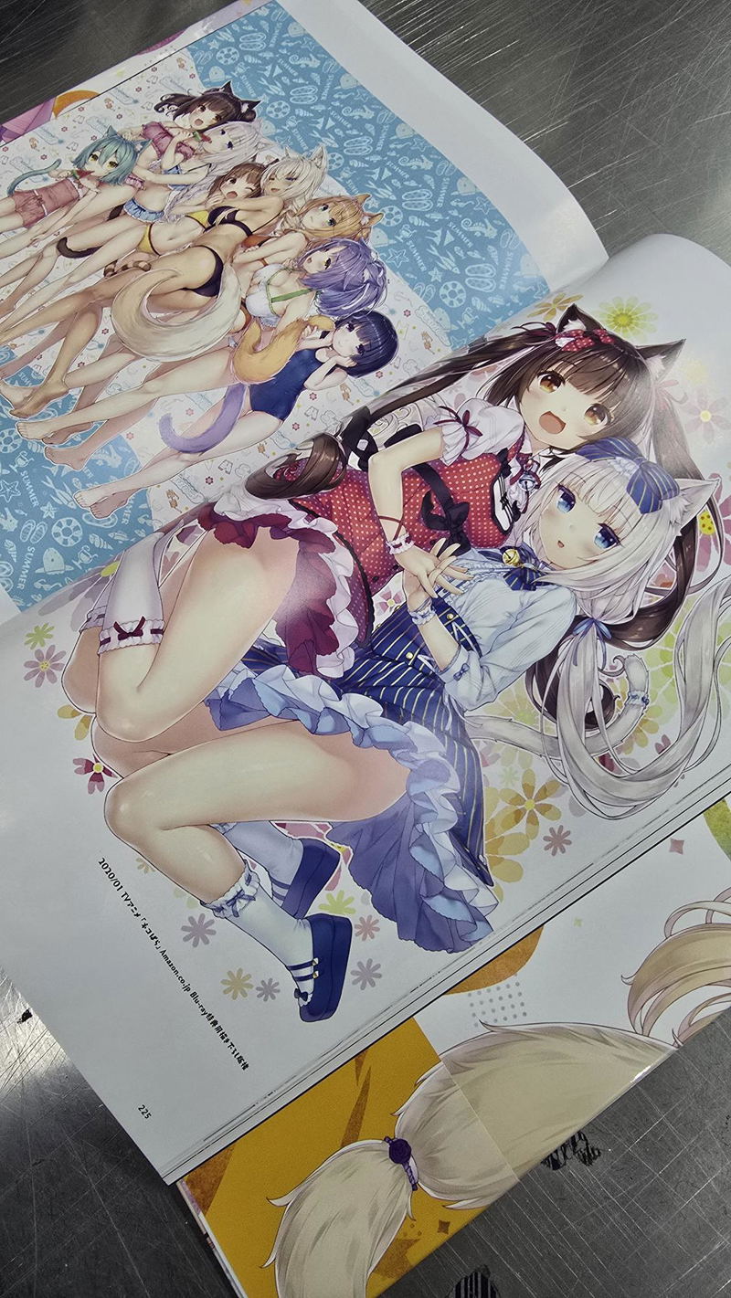 Nekopara 10th Anniversary - Sayori Art Works image 2