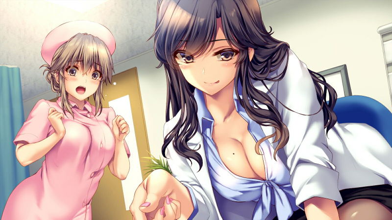 The Medical Examination Diary: Teamwork in Paradise. (Multi-Language) image 2