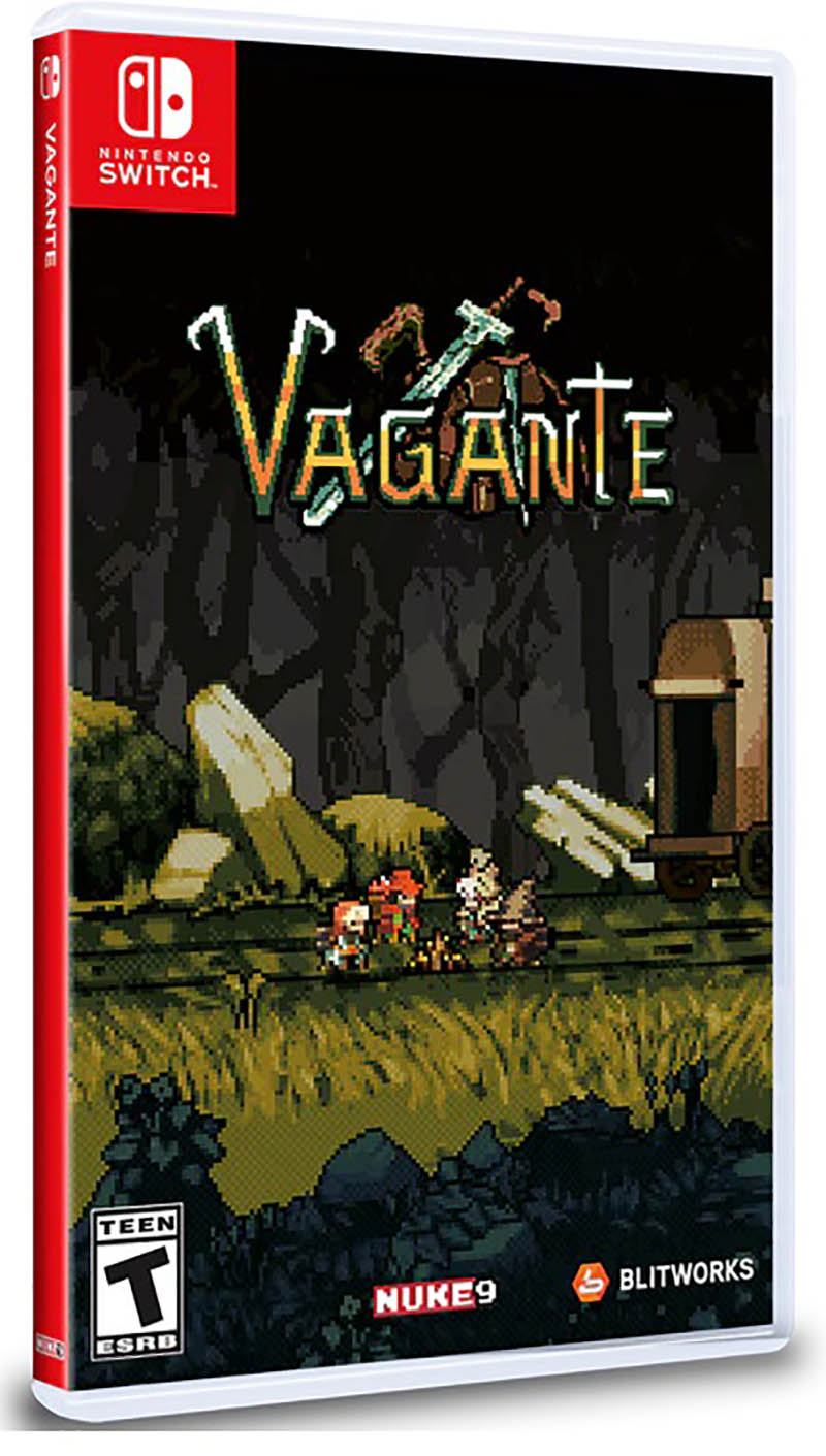 Vagante 対応 Nintendo Switch, Nintendo Switch 2