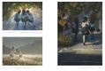 Enze Fu Artworks: Aoi Yume thumbnail 13