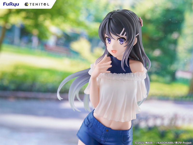 Tenitol Tall Seishun Buta Yaro wa Bunny Girl-senpai no Yume wo Minai: Sakurajima Mai image 11