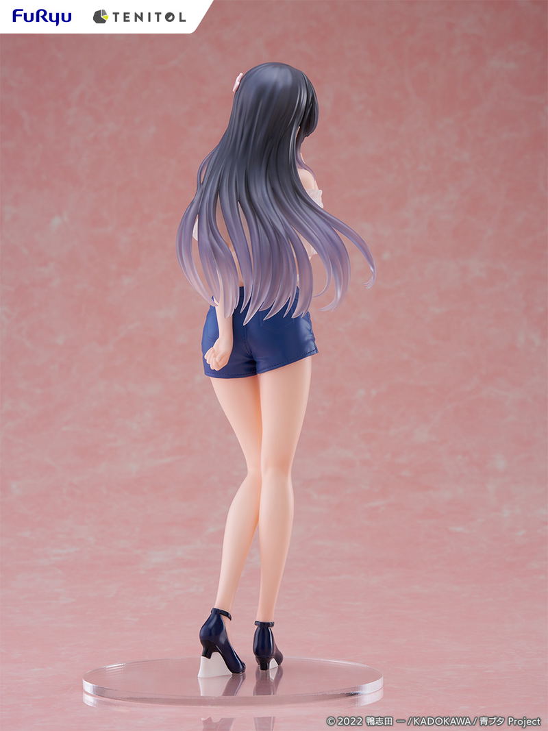 Tenitol Tall Seishun Buta Yaro wa Bunny Girl-senpai no Yume wo Minai: Sakurajima Mai image 4