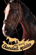 My Horse: Bonded Spirits <span class="ext" style="background-color: #2a475e; color: #FFFFFF;">STEAM</span> <span class="ext ext_digital">digital</span> thumbnail 1