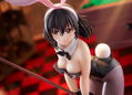 Strike the Blood 1/7 Scale Pre-Painted Figure: Himeragi Yukina Bunny Girl Style thumbnail 15