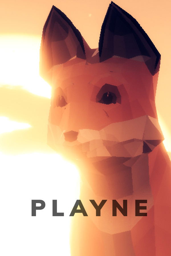 Playne: The Meditation Game STEAM digital — Import Game Deal