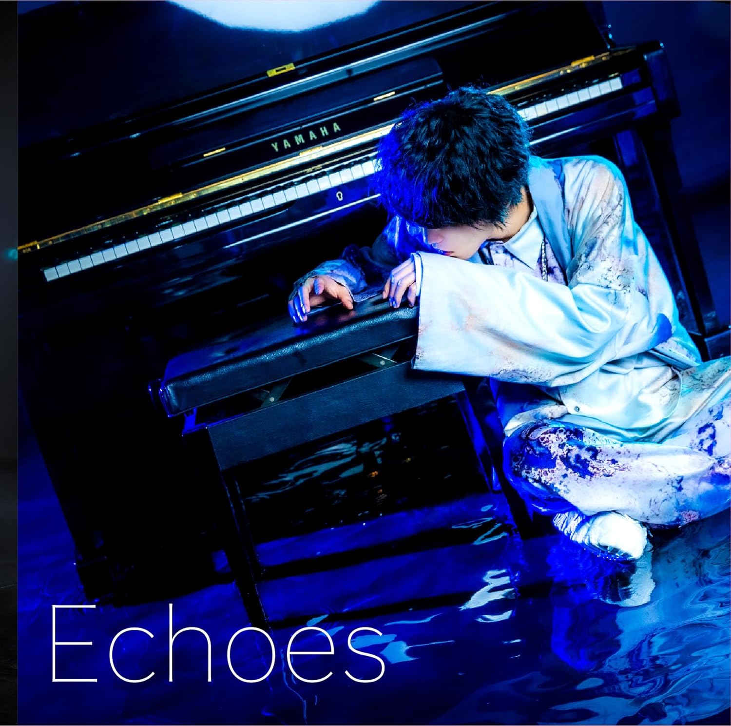 Echoes [Limited Edition] — Import Game Deal