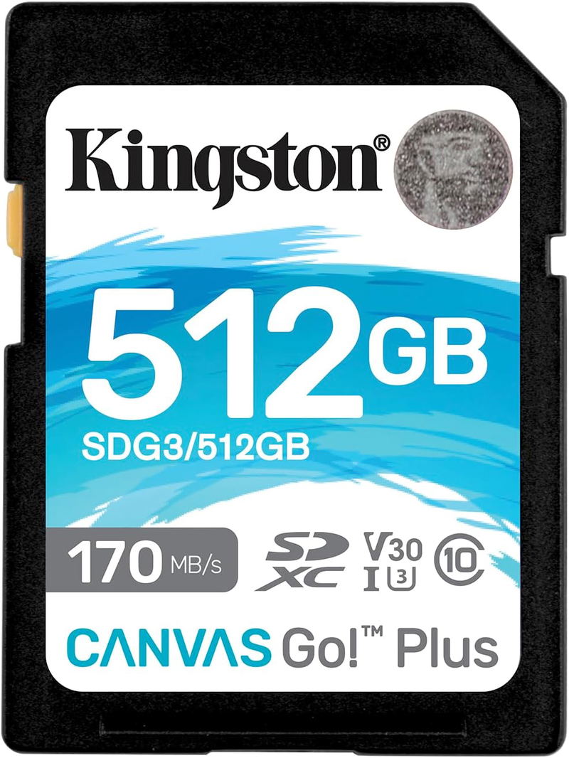 Kingston Canvas Go Plus SDXC Card (512GB) for Nintendo Switch