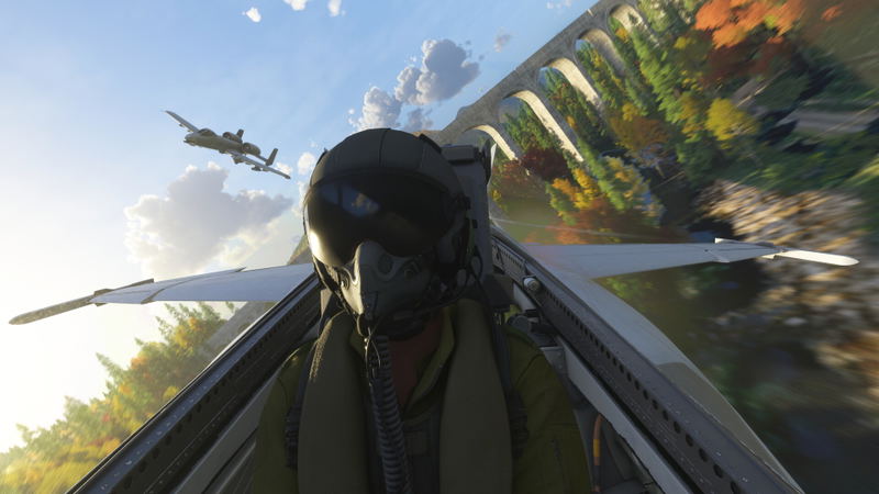 Microsoft Flight Simulator 2024 <span class="ext ext_digital">digital</span> image 8