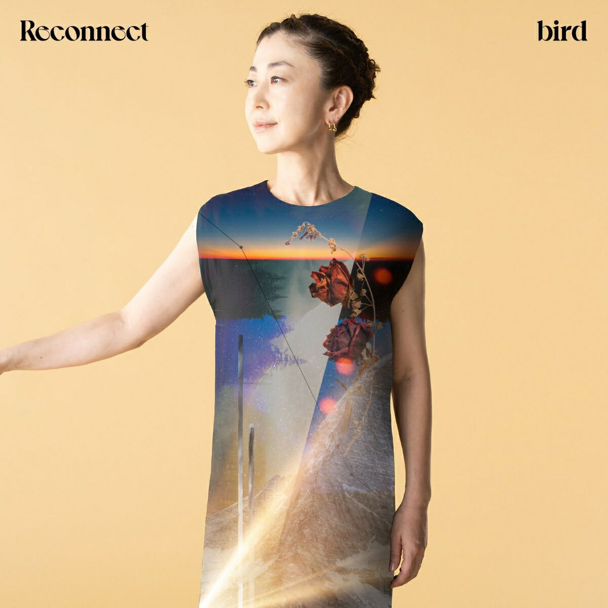 Reconnect [limited Edition] (vinyl) (bird)