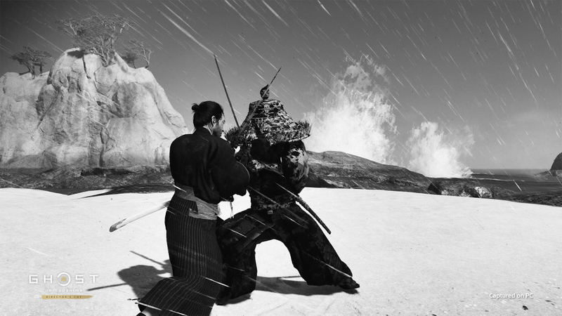 Ghost of Tsushima Director's Cut <span class="ext" style="background-color: #2a475e; color: #FFFFFF;">STEAM</span> <span class="ext ext_digital">digital</span> image 5