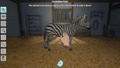My Vet Practice In The Zoo thumbnail 10