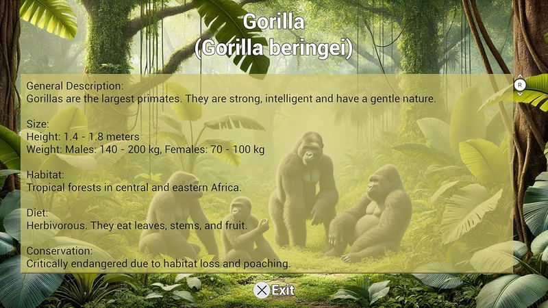 My Vet Practice In The Zoo image 9