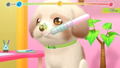 Woof Meow Animal Hospital: An Important Job to Help Pets thumbnail 3