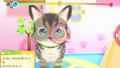 Woof Meow Animal Hospital: An Important Job to Help Pets thumbnail 4