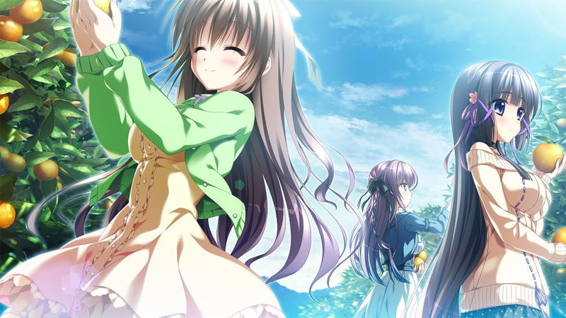 Sono Hi no Kemono ni wa + Tsumi no Hikari Rendezvous [Bundle Pack] image 10