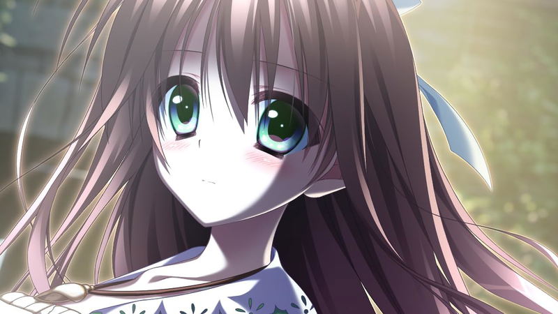 Sono Hi no Kemono ni wa + Tsumi no Hikari Rendezvous [Bundle Pack] image 7