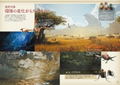Monster Hunter Wilds Official First Play Guide thumbnail 3