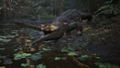 Metal Gear Solid Delta: Snake Eater [Collector's Edition] (Multi-Language) thumbnail 4