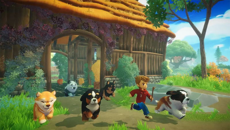 Everdream Valley (Multi-Language) image 6