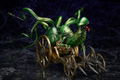 Shin Megami Tensei: Demon Lord Mara (Re-run) thumbnail 5