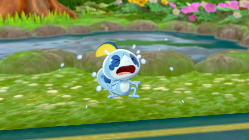 Pokemon Shield image 7