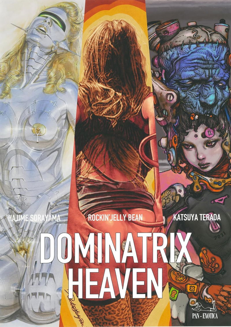 Dominatrix Heaven image 1