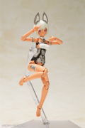 Frame Arms Girl Plastic Model Kit: Laetitia Silver Ver. thumbnail 10