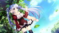 Shirokoi Sakura * Gram thumbnail 3