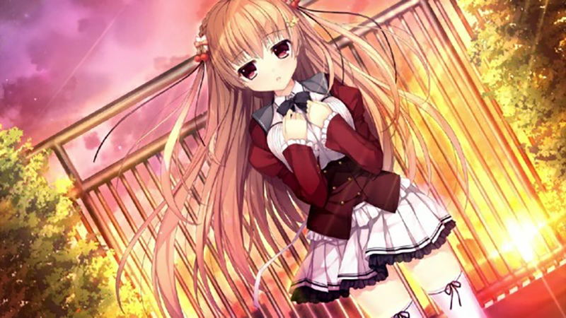 Shirokoi Sakura * Gram [Limited Edition] image 4