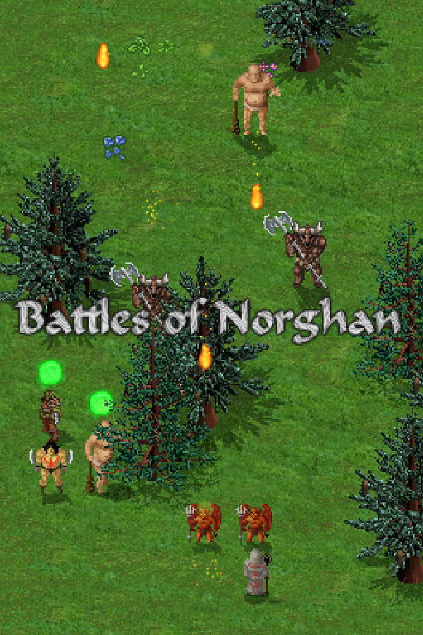 Battles of Norghan STEAM digital — Import Game Deal