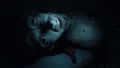 Amber Alert thumbnail 5