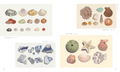 Jun Kamaori Artworks: Cloudy And Later thumbnail 12