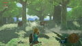 The Legend of Zelda: Breath of the Wild for Nintendo Switch 2 Edition (Multi-Language) <span class="ext" style="background-color: #00e206; color: #FFFFFF;">Game Cart</span> thumbnail 5