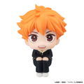 Look Up Series Haikyu!! Hinata Shoyo thumbnail 2