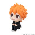 Look Up Series Haikyu!! Hinata Shoyo thumbnail 3