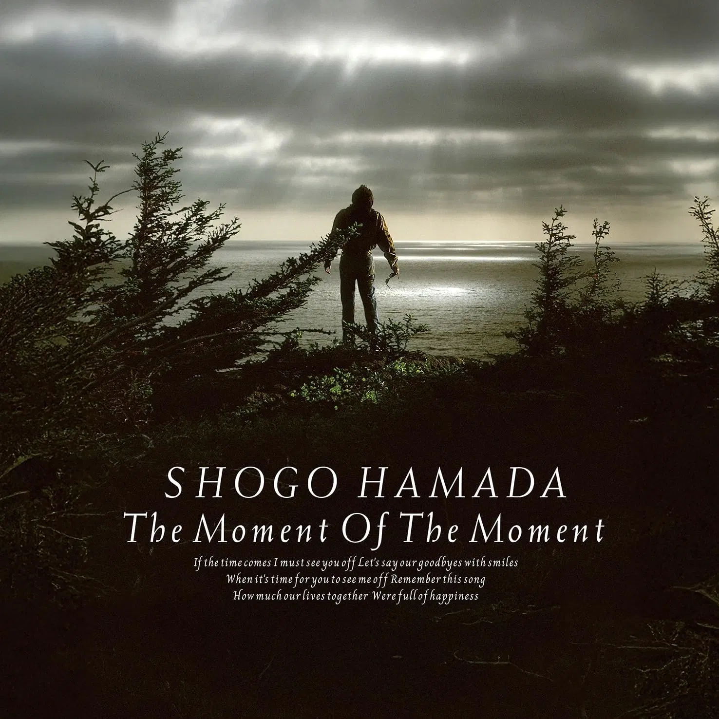 The Moment Of The Moment [Limited Edition] (Vinyl) — Import Game Deal