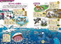 Pokemon Ecology Encyclopedia thumbnail 4