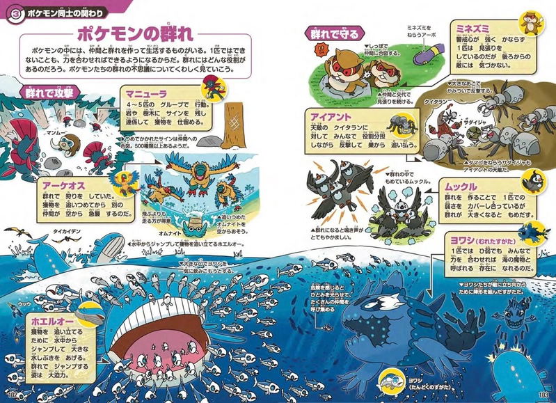 Pokemon Ecology Encyclopedia image 4